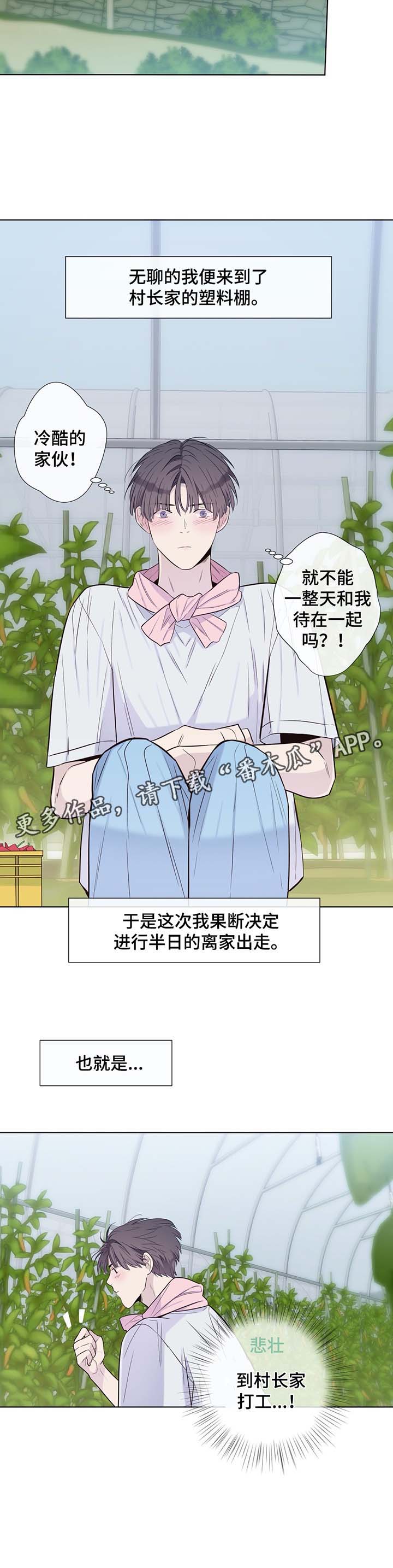 田园一夏漫画,第31章：收获辣椒3图