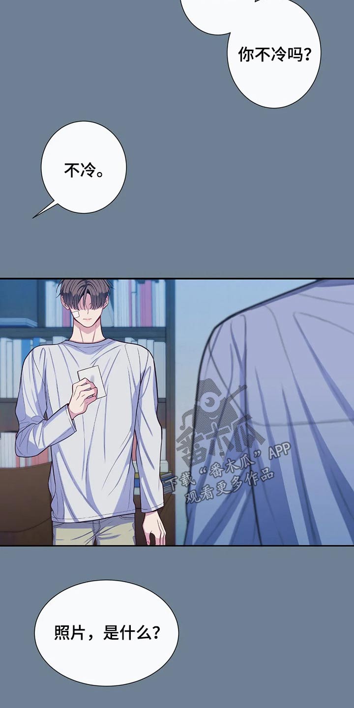 田园一夏漫画,第71章：照片5图