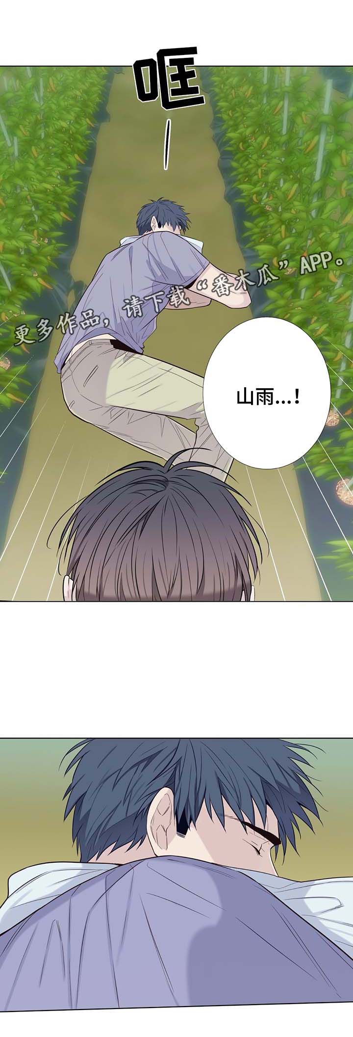 田园一夏漫画,第33章：过度劳累1图