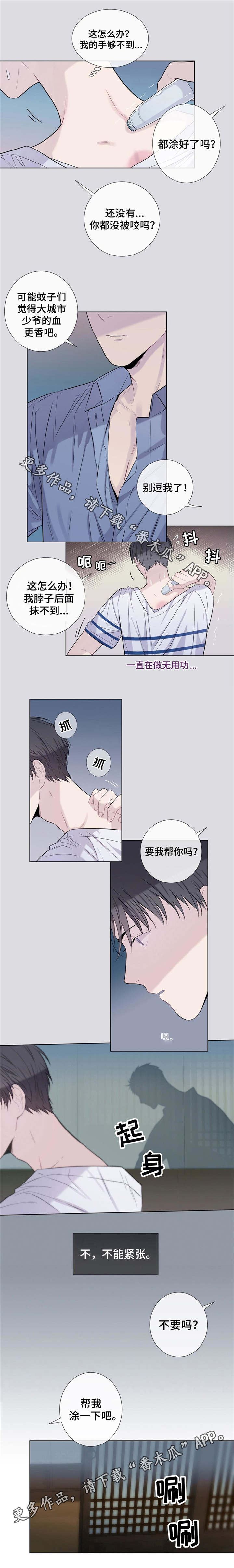 田园一夏漫画,第19章：毒蚊子3图