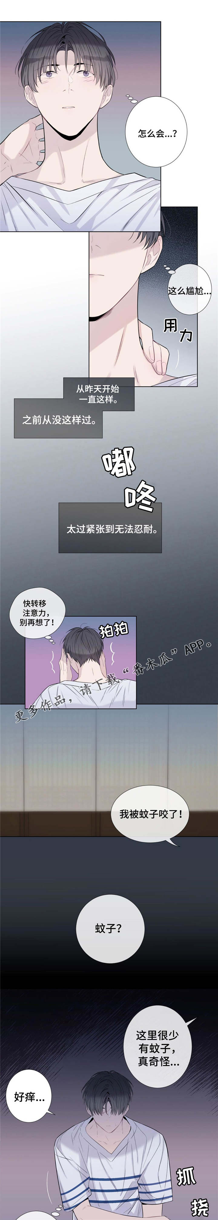 田园一夏漫画,第19章：毒蚊子5图