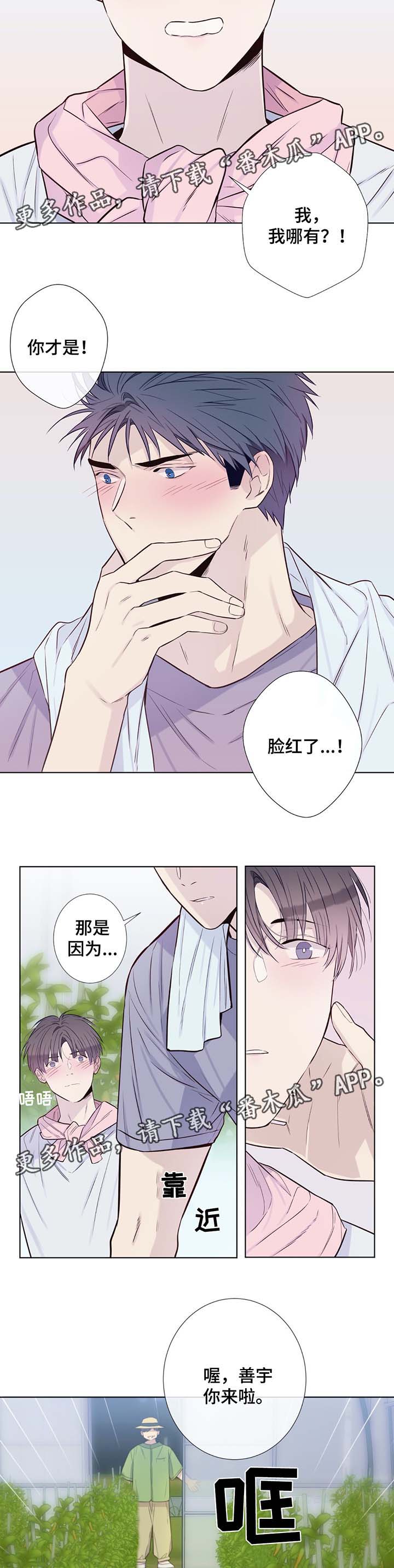 田园一夏漫画,第31章：收获辣椒1图