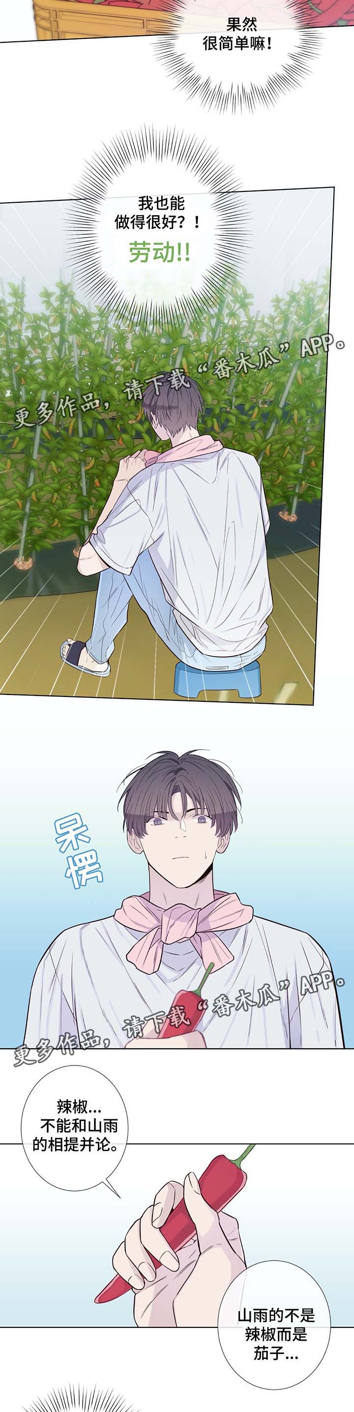 田园一夏漫画,第31章：收获辣椒5图