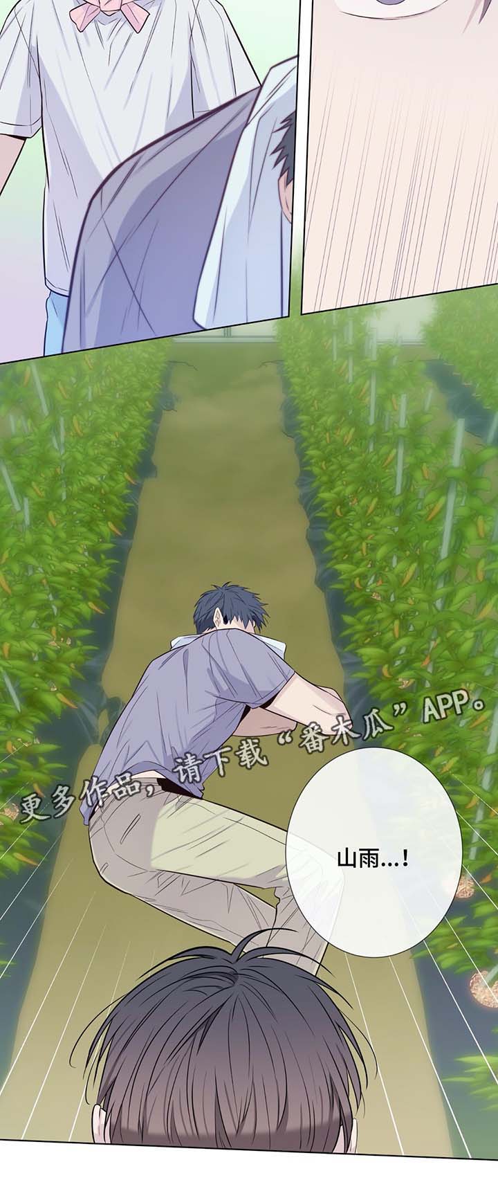 田园一夏漫画,第32章：晕倒5图