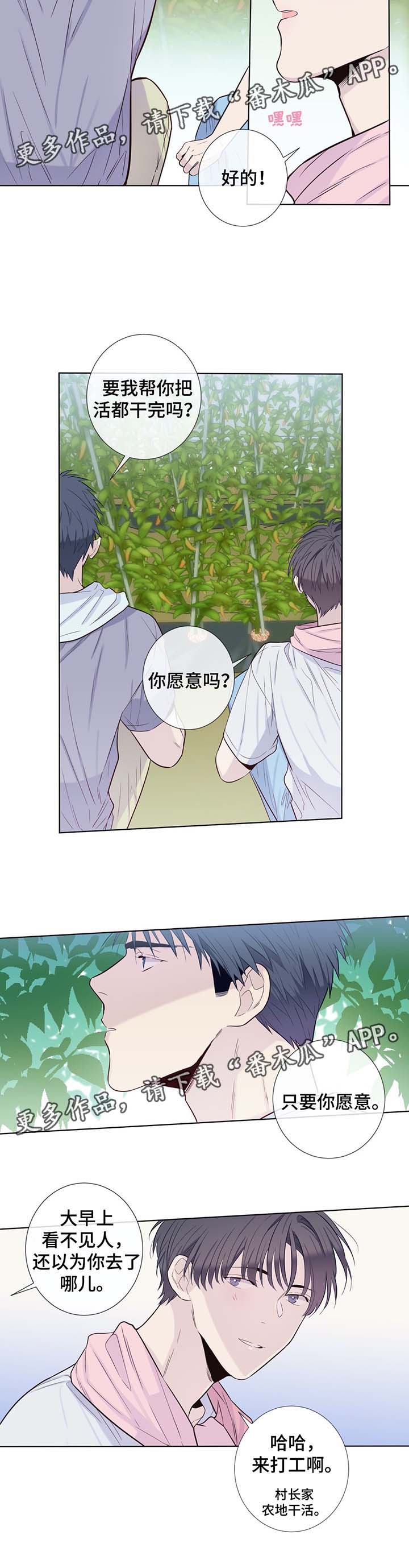 田园一夏漫画,第32章：晕倒4图