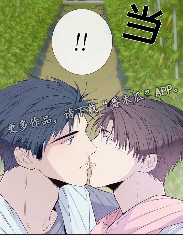 田园一夏漫画,第31章：收获辣椒2图