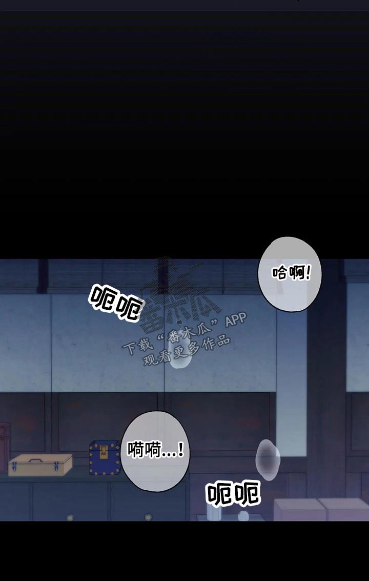 田园一夏漫画,第81章：放开我3图