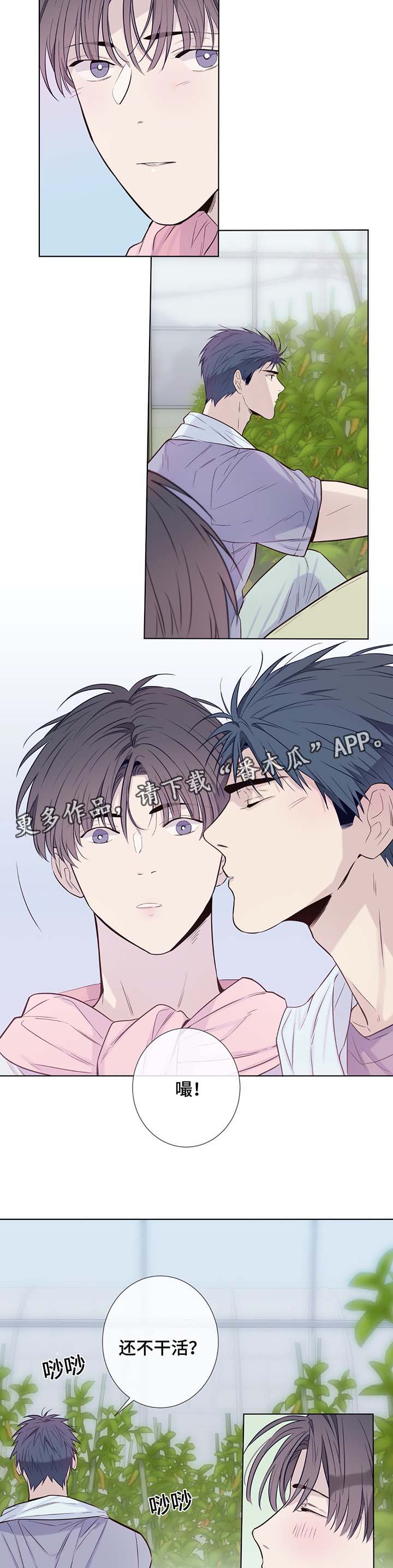 田园一夏漫画,第32章：晕倒3图