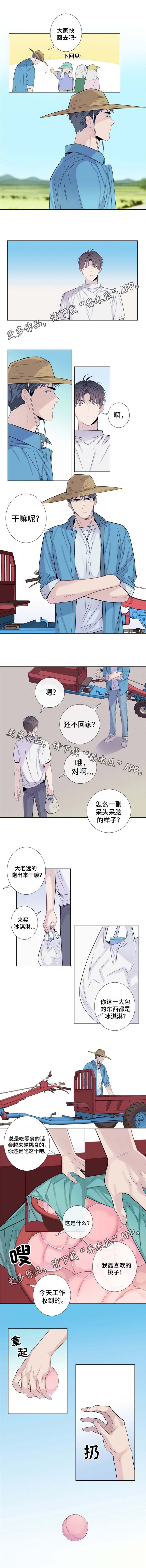 田园一夏漫画,第13章：乐于助人3图