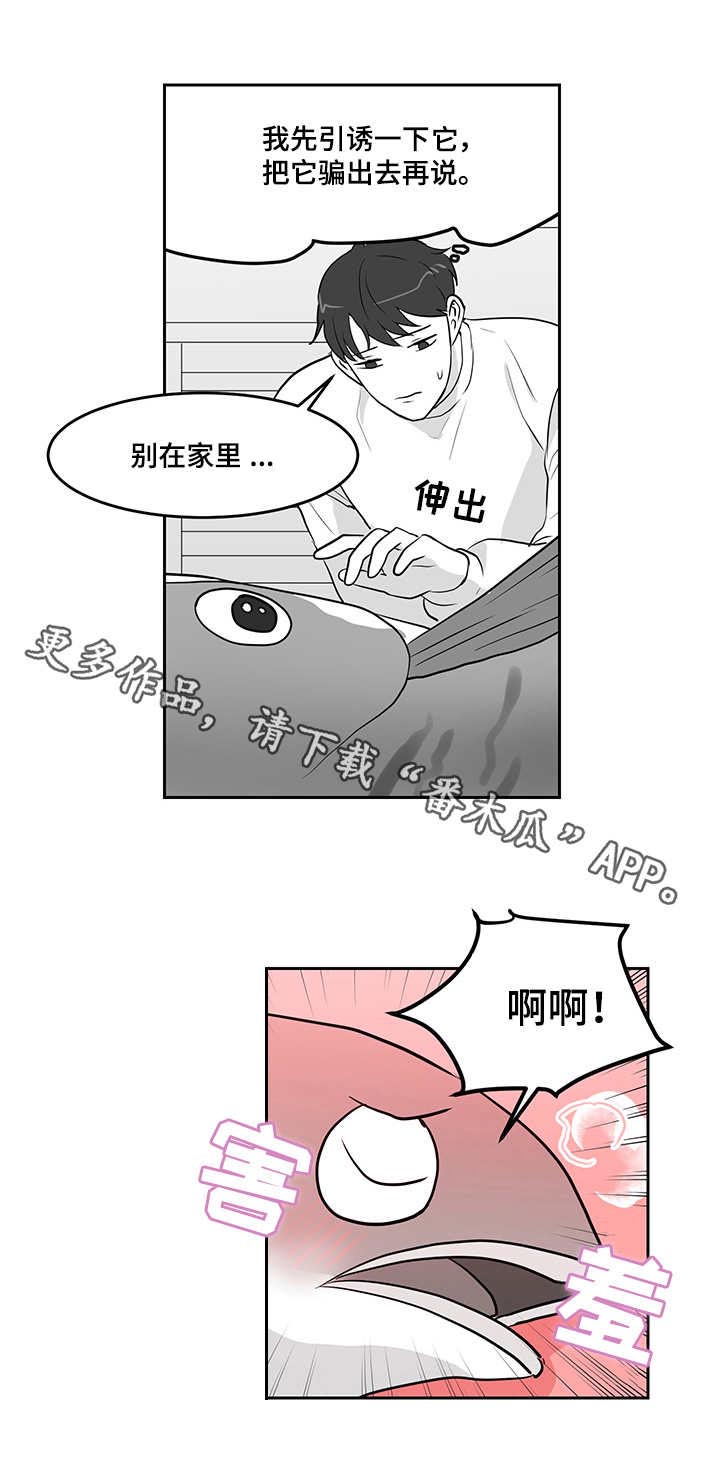六合一漫画,第14章：青花鱼5图