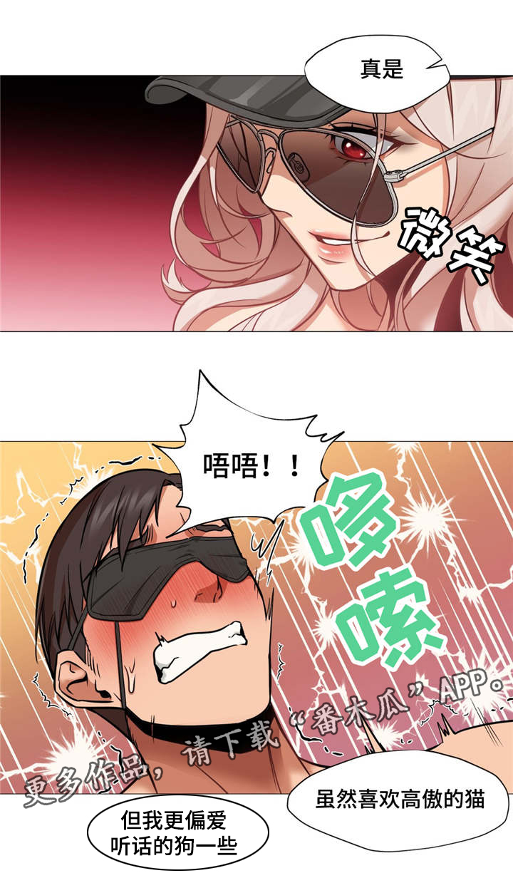 灵魂调味品推荐漫画,第11章：被绑架了2图