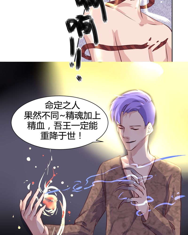 我的鬼娃娇妻漫画,第51章：另一半的命格4图