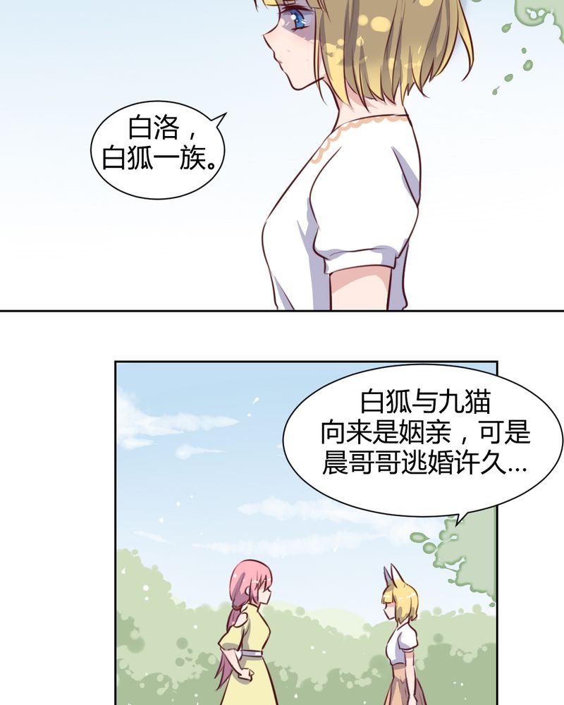 我的鬼娃娇妻漫画,第58章：可爱的白狐婚约者3图