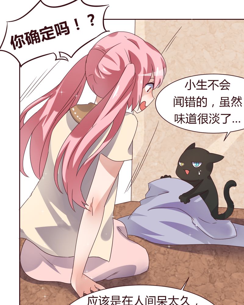 我的鬼娃娇妻漫画,第37章：少妖主的新用法1图