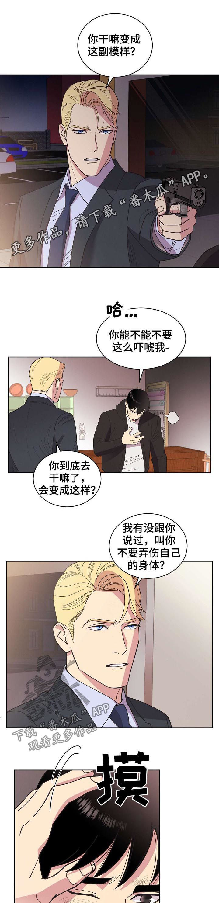 保护条约漫画,第52章：【第二季】撞车1图