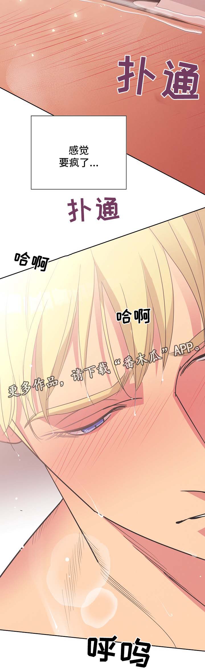 保护条约漫画,第37章：看来是疯了4图