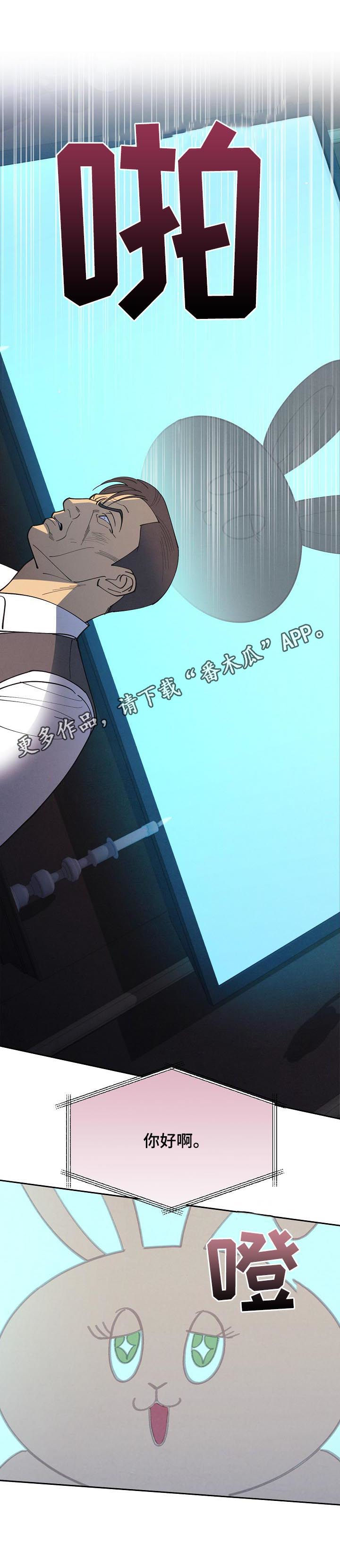 保护条约漫画,第88章：【第三季】登场1图