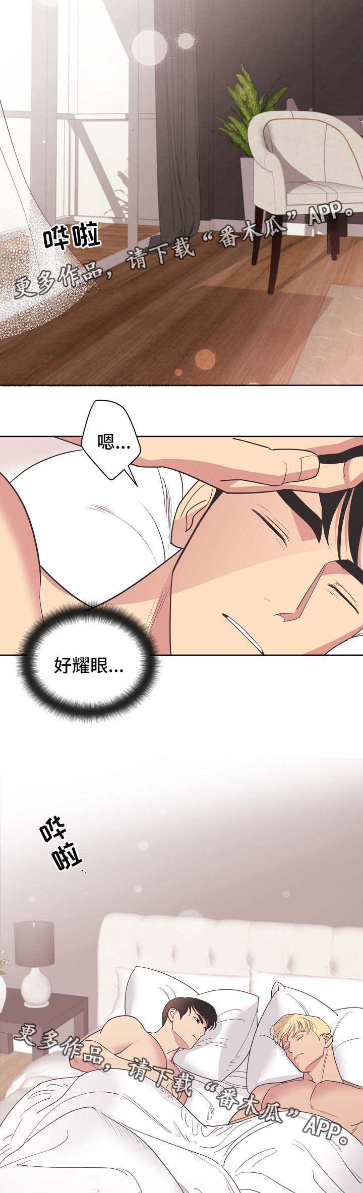 保护条约漫画,第37章：看来是疯了3图