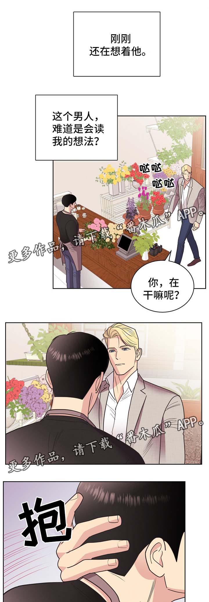 保护条约漫画,第43章：不能被发现5图