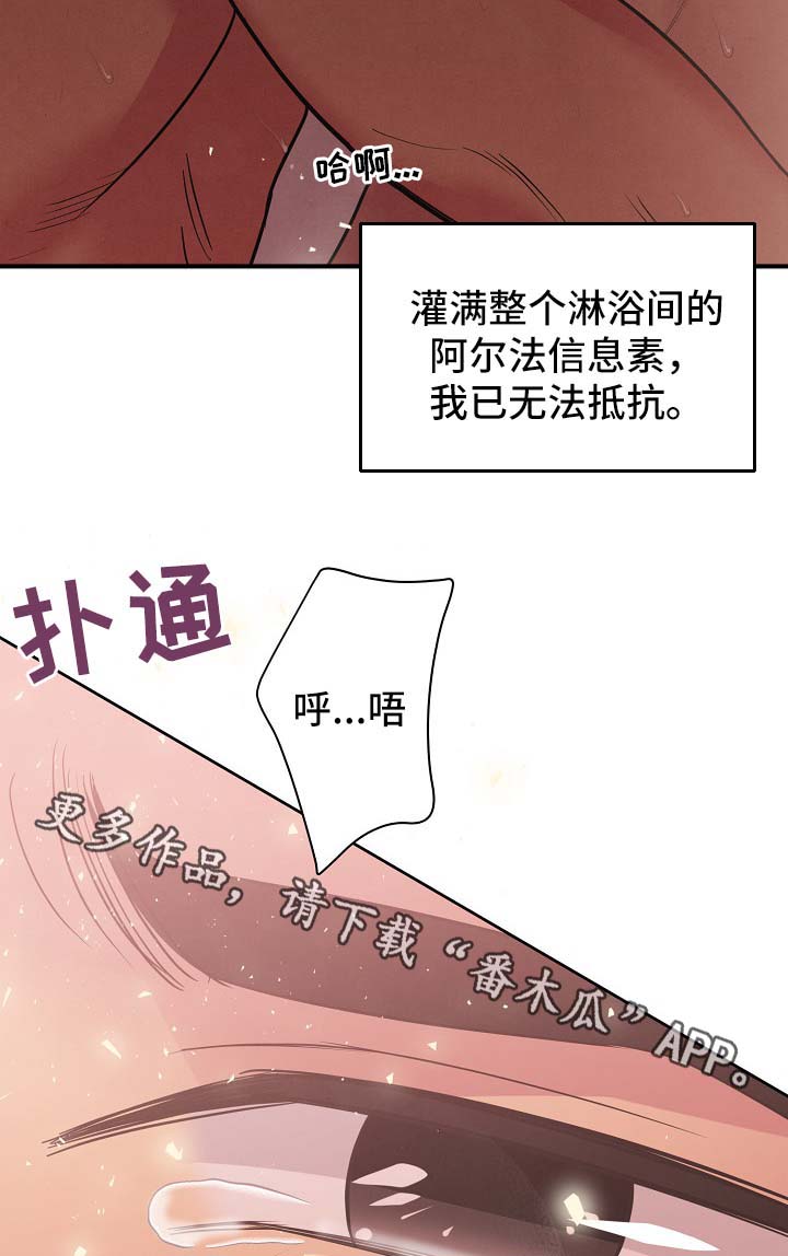 保护条约漫画,第37章：看来是疯了3图