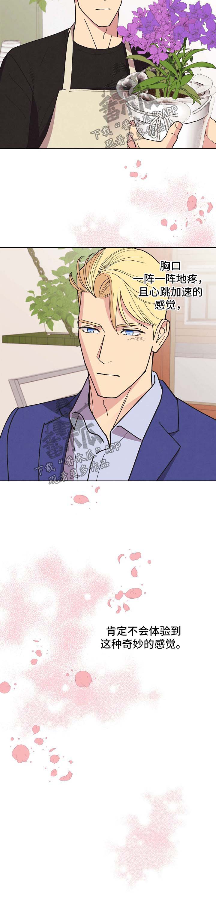 保护条约漫画,第71章：【第二季】启程3图