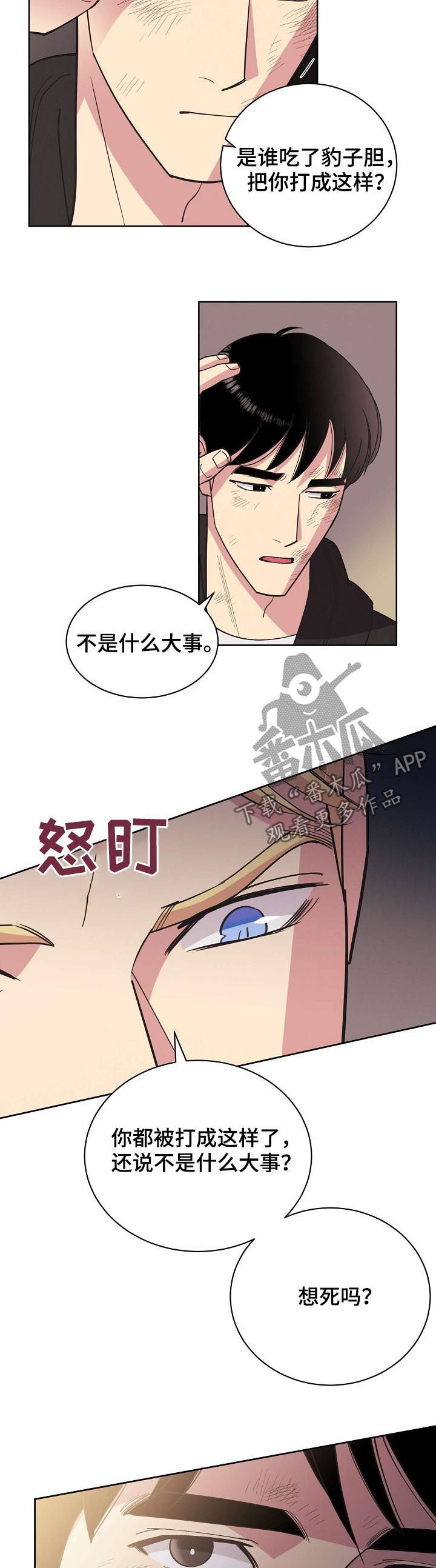 保护条约漫画,第52章：【第二季】撞车2图