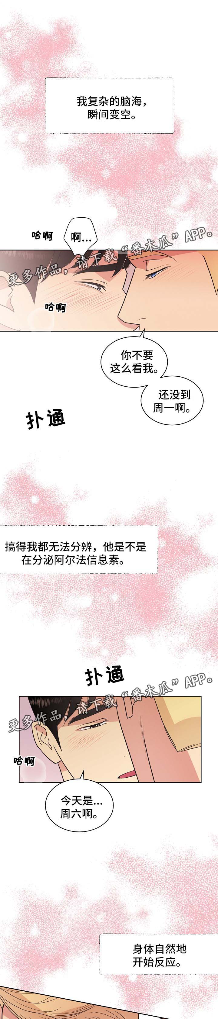保护条约漫画,第43章：不能被发现2图
