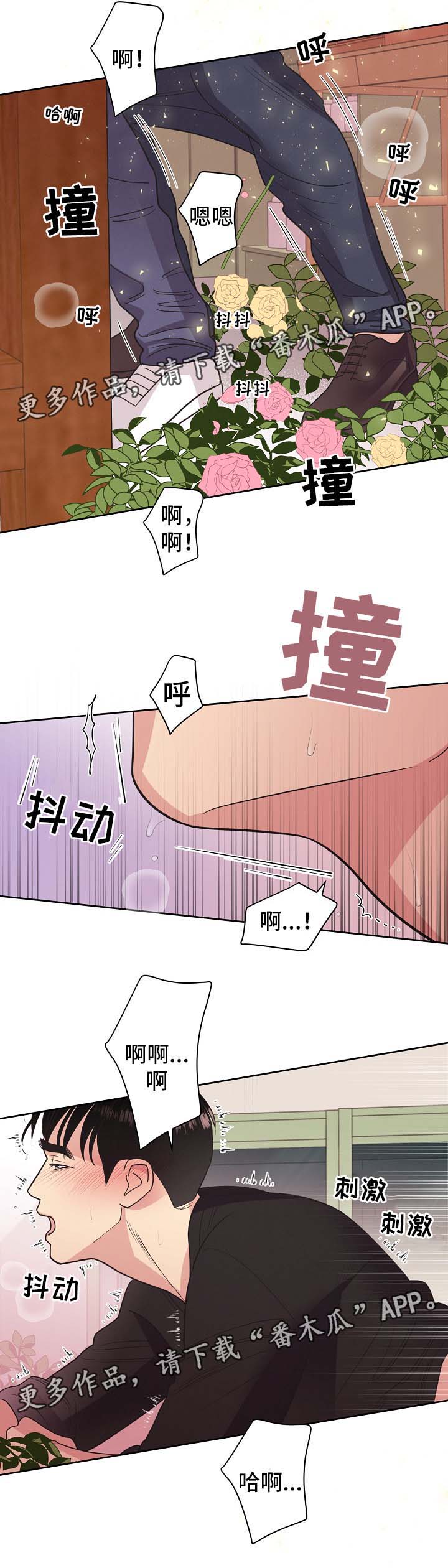 保护条约漫画,第43章：不能被发现2图