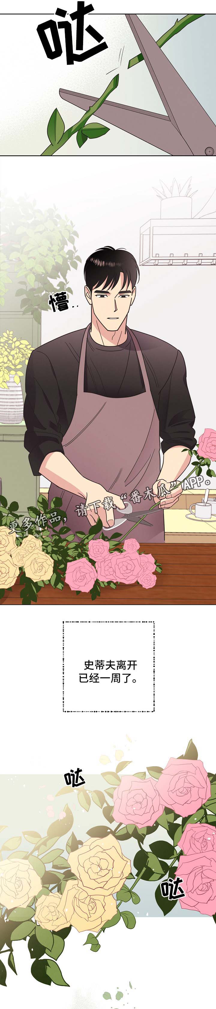 保护条约漫画,第43章：不能被发现1图