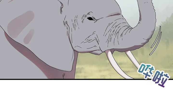 兄弟你是谁漫画,第30章：学游泳3图