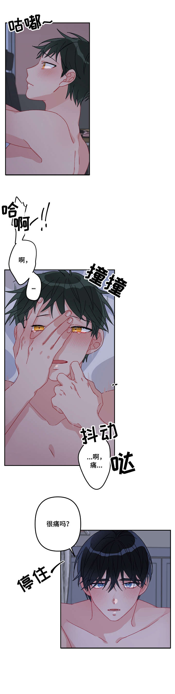 主刀医生漫画,第18章：喜欢你1图