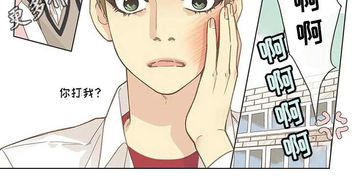 友谊长久漫画,第13章：打脸3图