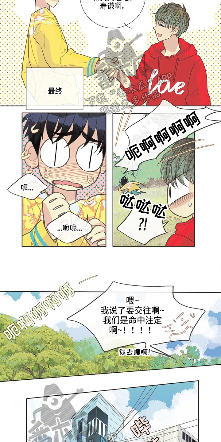友谊长久漫画,第26章：命中注定4图