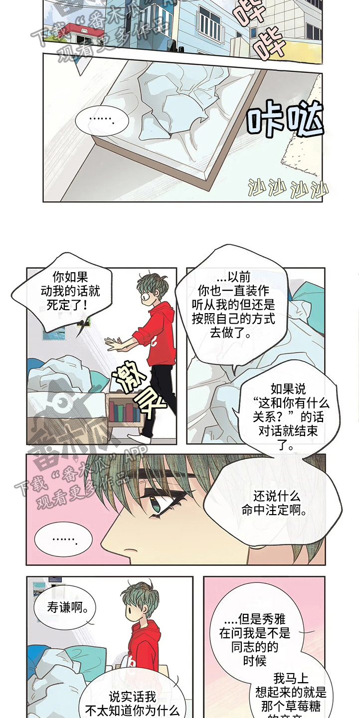友谊长久漫画,第26章：命中注定5图
