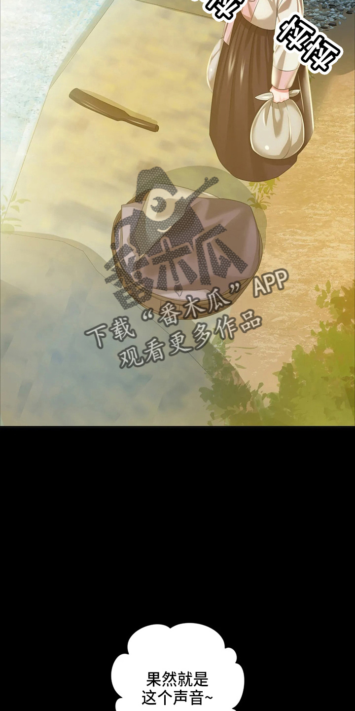 忠仆石头漫画,第53章：撞见3图