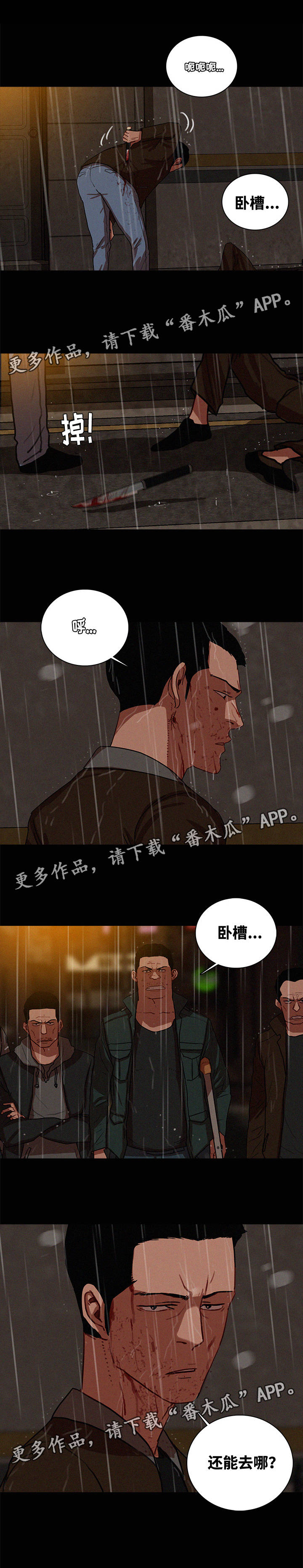 乘风兴浪漫画,第56章：还能去哪3图