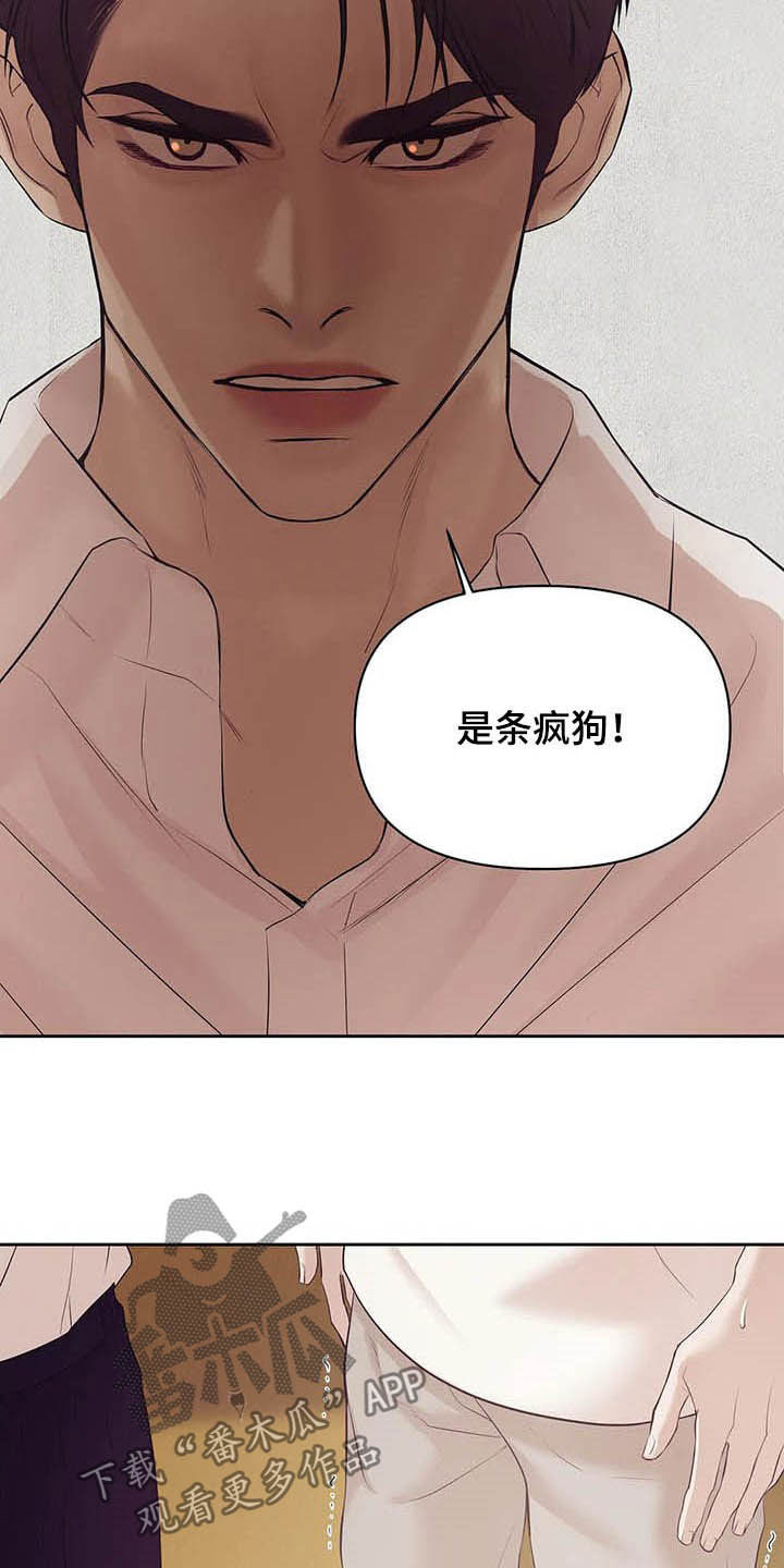 贝壳少年图片漫画,第90章：【第二季】跟我走吧3图