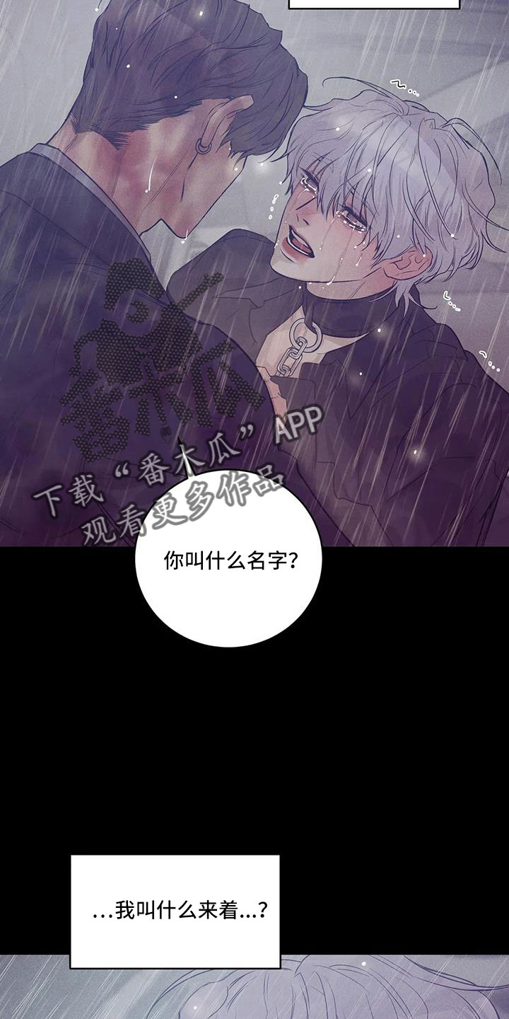贝壳少年漫画,第146章：【第三季】等你回来5图