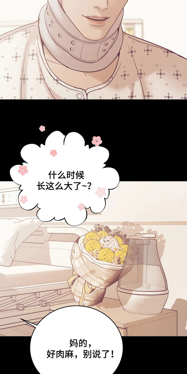 贝壳少年在线免费观看漫画,第184章：【番外】恩情1图