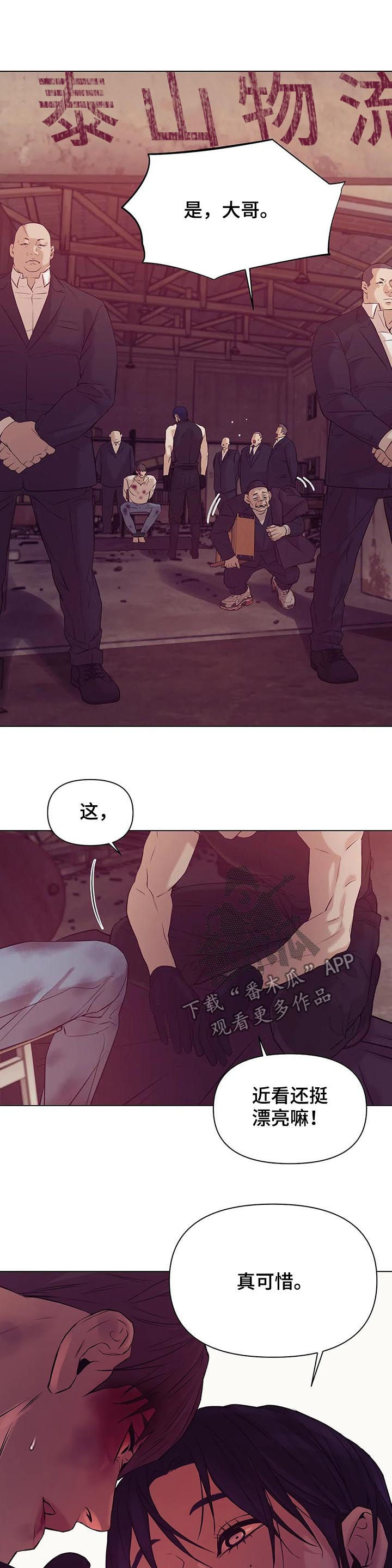 贝壳少年漫画,第66章：【第二季】看着面熟5图