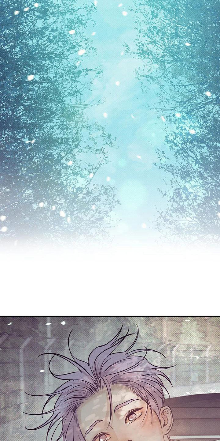 贝壳少年漫画,第132章：【第三季】有人来过3图