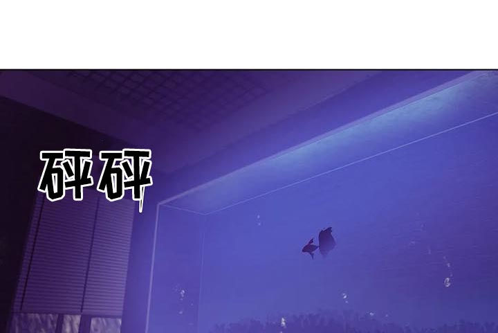 贝壳少年漫画,第67章：【第二季】不满意？4图