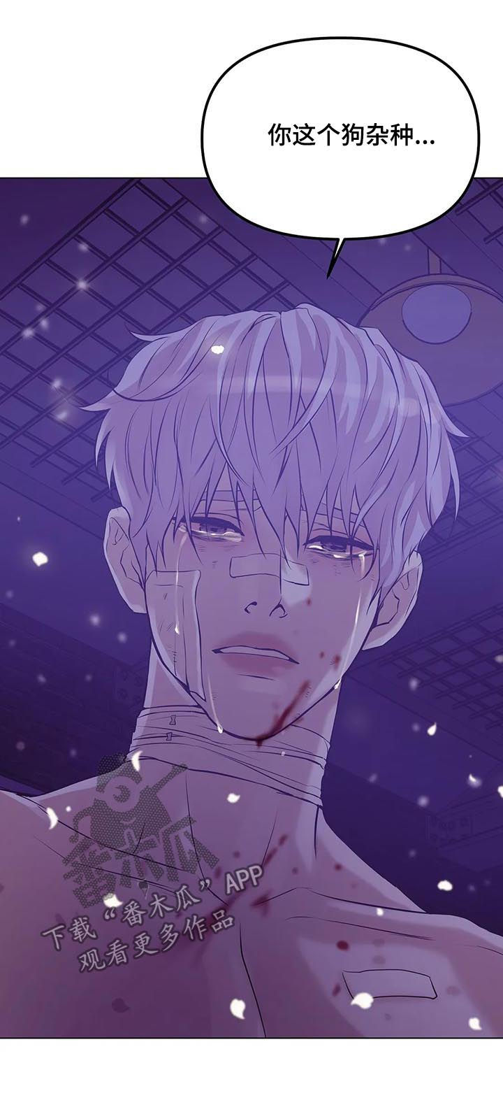 贝壳少年漫画,第68章：【第二季】一群窝囊废3图