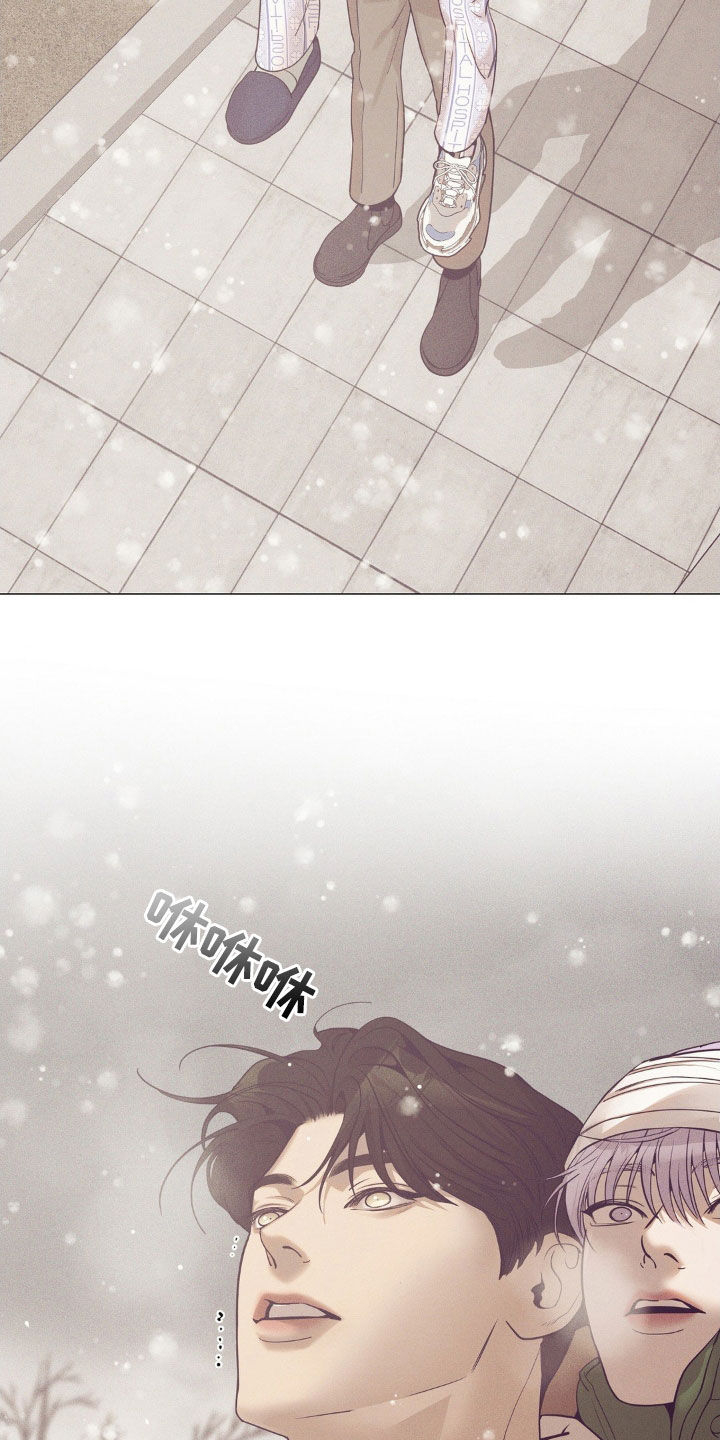 贝壳少年最新番外在线观看漫画,第186章：【番外完结】初雪2图