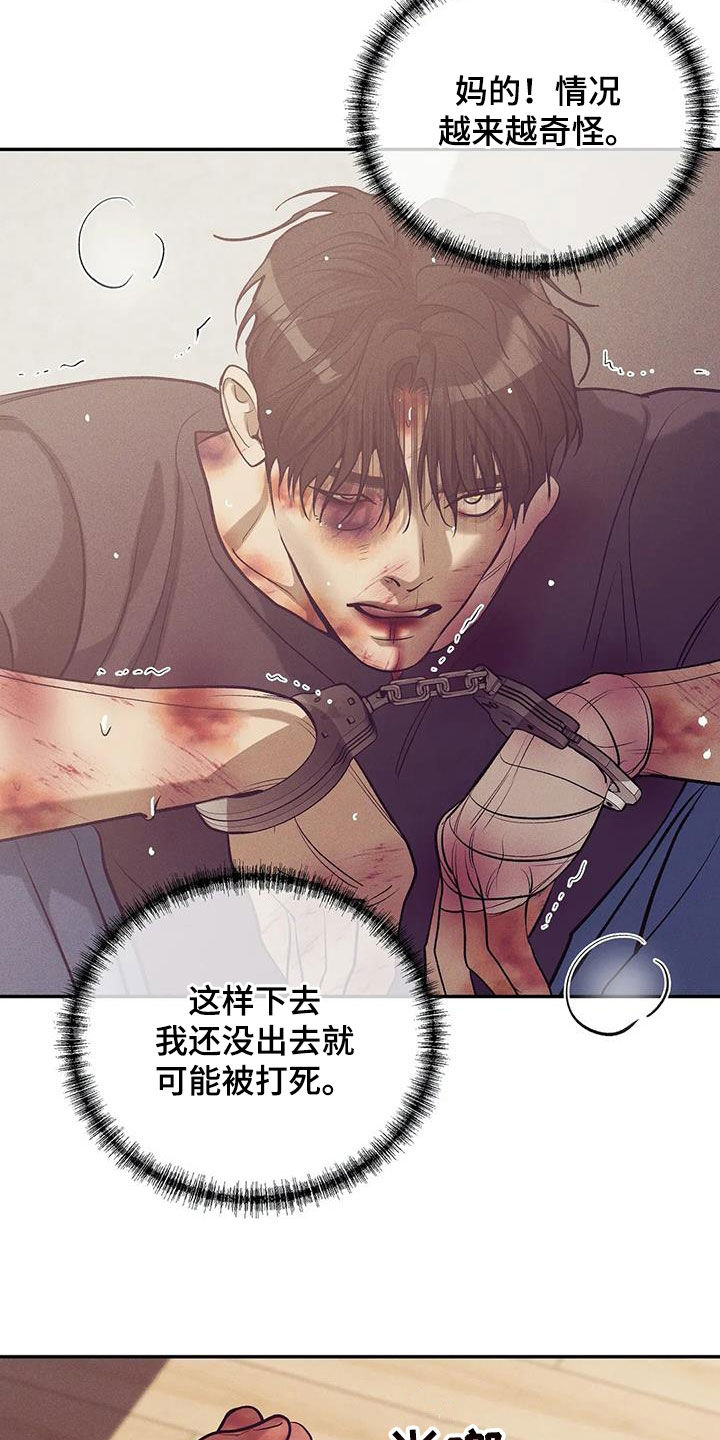 贝壳少年贝勒漫画漫画,第172章：【第三季】自首吧2图