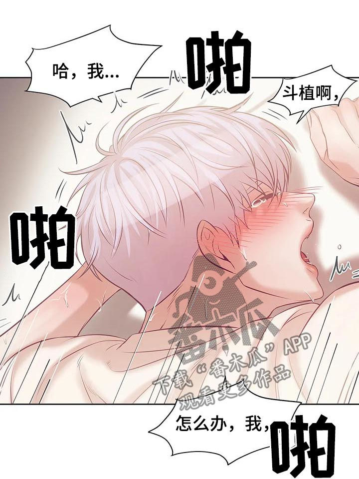 贝壳少年漫画,第34章：老练2图
