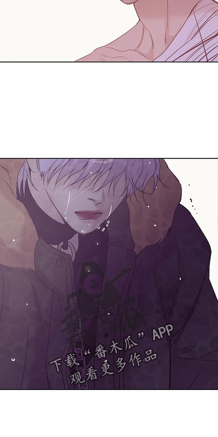 贝壳少年漫画,第153章：【第三季】来得太晚5图