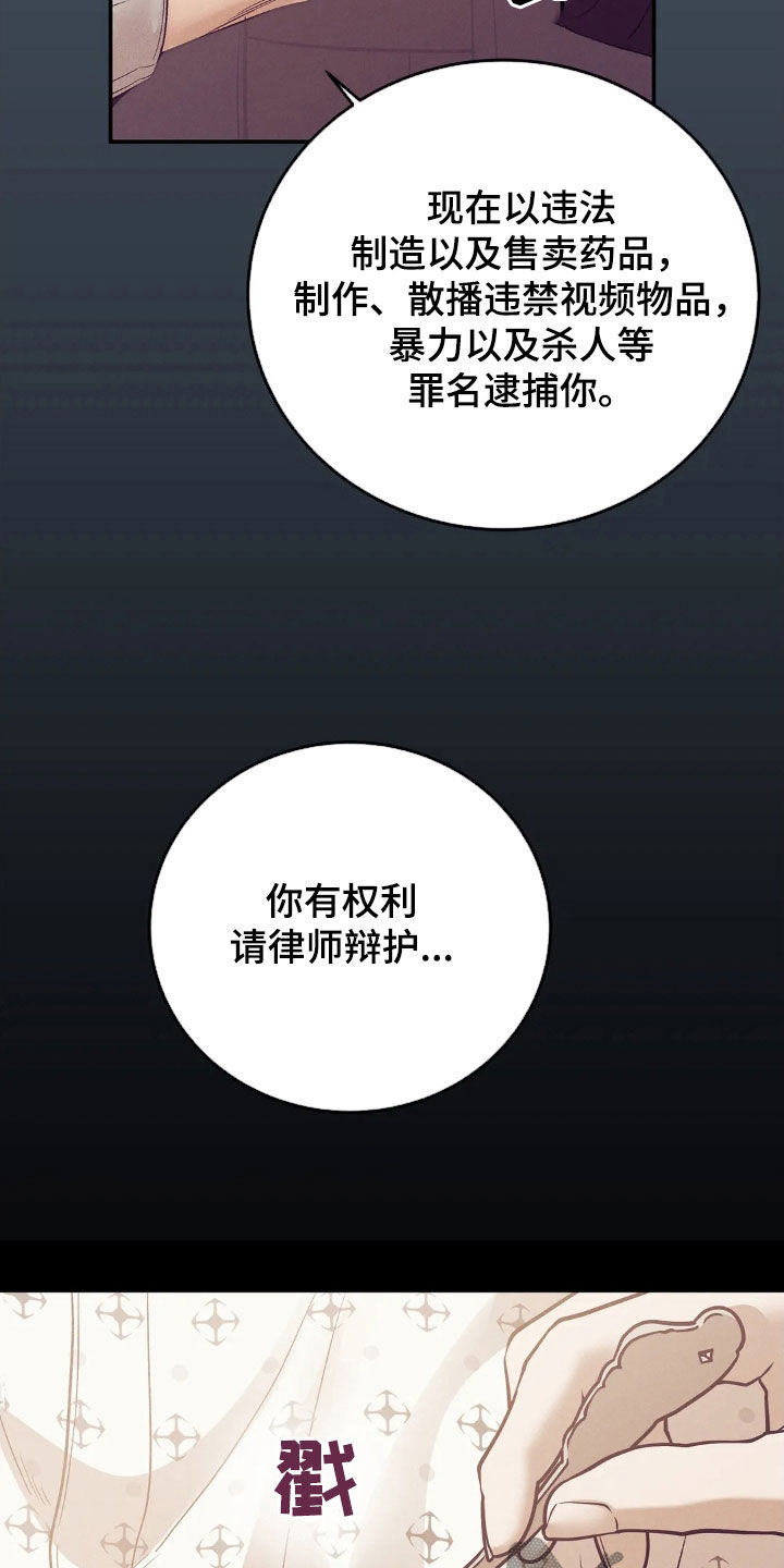 贝壳二手房最新出售漫画,第183章：【番外】逮捕5图