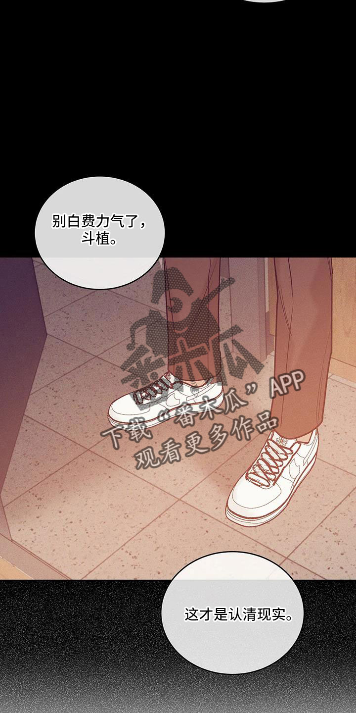 贝壳少年恢复记忆漫画,第145章：【第三季】这次不一样1图