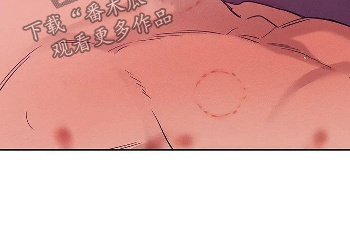 贝壳少年第二季免费观看漫画,第158章：【第三季】以牙还牙2图